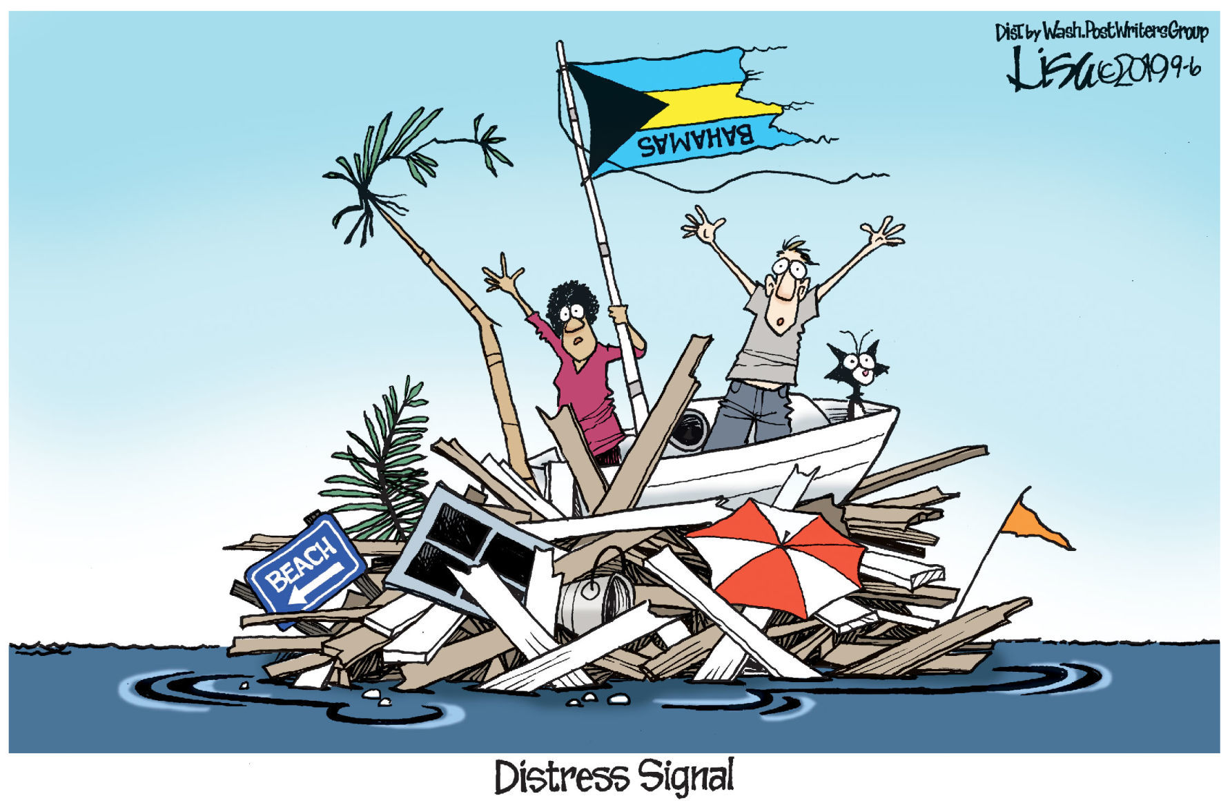 Lisa Benson cartoon